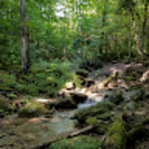 Meet your Posher, Chad